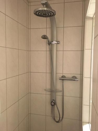 a shower with a shower head in a bathroom at CASA Palatina in Merzalben