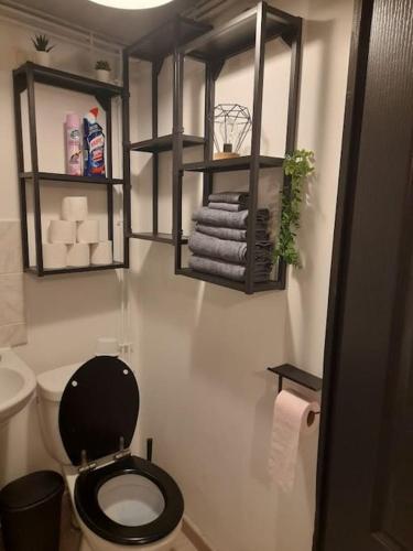 a bathroom with a toilet and towels on a wall at Petit maison villageoise in Moulineaux