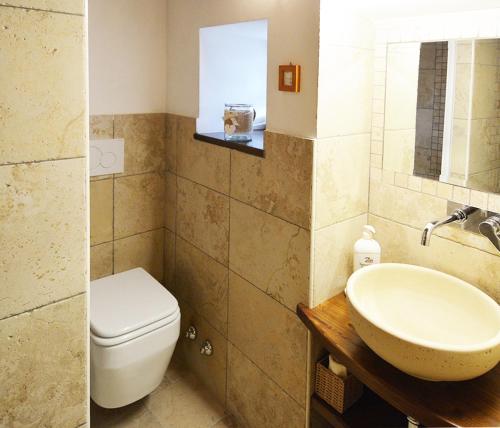 ein Bad mit einem WC und einem Waschbecken in der Unterkunft La casetta degli agricoltori in Vetralla