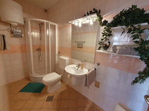 ein Bad mit einem WC, einer Dusche und einem Waschbecken in der Unterkunft Olive garden Pag in Pag
