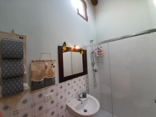 ein Bad mit einem Waschbecken, einem Spiegel und einer Dusche in der Unterkunft *La Torre Di Amelia* Nel Cuore Dell' Umbria in Amelia