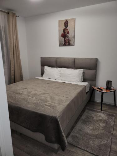 een slaapkamer met een groot bed in een kamer bij Coder Studio in Braşov