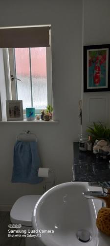 a bathroom with a white sink and a window at 2 Orchard Gate in Kent
