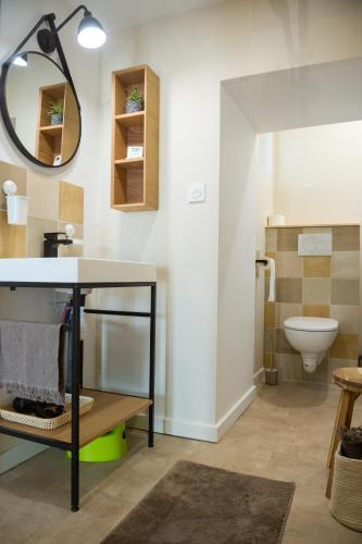 une salle de bain avec un lavabo et des toilettes dans l'établissement Gîtes de la Chapelle, à Gigny-sur-Saône