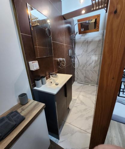 a bathroom with a sink and a shower at Duplex cosy Life Balnéo in Cysoing