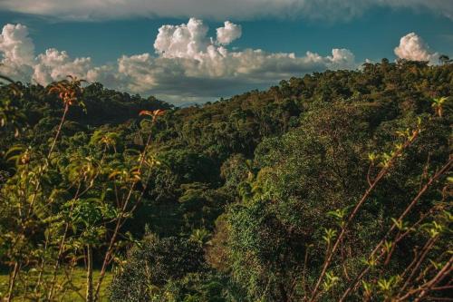 a forest filled with lots of trees on a hill at Chácara Alegria - Um pedaço do paraíso em Itaboraí in Itaboraí