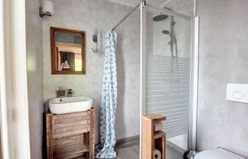ein Bad mit einem Waschbecken und einer Dusche in der Unterkunft Le gîte de la ChèBrerie in Forrières