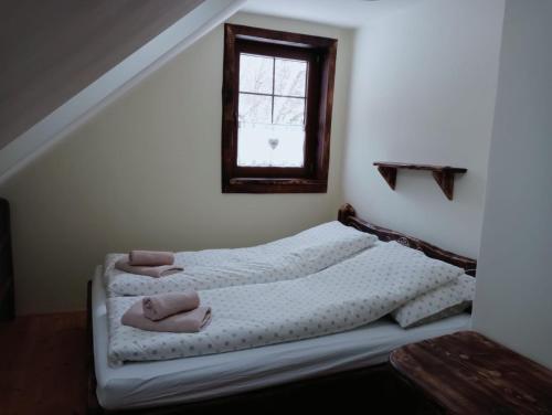 a bedroom with two beds and a window at Zagroda Miodowa agroturystyka w Bieszczadach in Komańcza