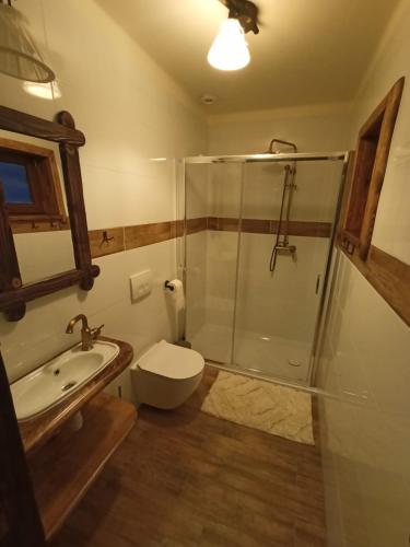 a bathroom with a shower and a toilet and a sink at Zagroda Miodowa agroturystyka w Bieszczadach in Komańcza