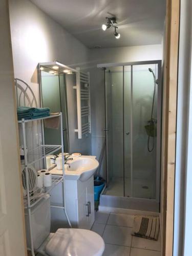une salle de bain avec une douche, un lavabo et des toilettes dans l'établissement Loue Studio dans une villa avec piscine terrasse, à Saint-Théodorit