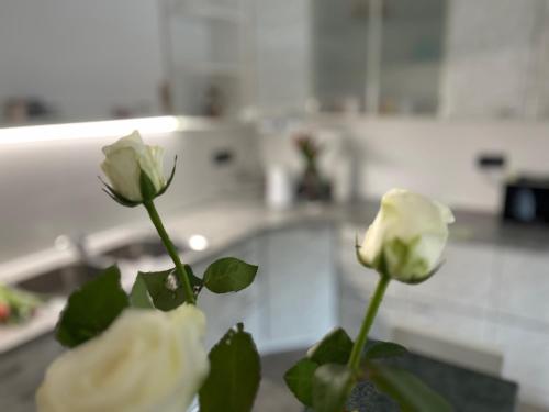 dos rosas blancas en un jarrón sobre una mesa en Apartma Ksela en Mala Nedelja