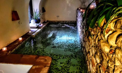Vonkajšia záhrada v ubytovaní Casa Boutique el Capricho Adults Only
