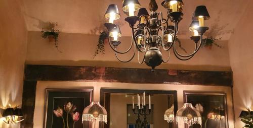 a chandelier hanging from a ceiling over a mirror at Greyhound Hever in Edenbridge