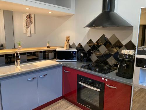 une cuisine avec un évier et une cuisinière four supérieur dans l'établissement Gîte Doumenc, à Thierville-sur-Meuse