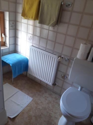 a bathroom with a white toilet and a radiator at Haus Edelweiß in Unterwössen