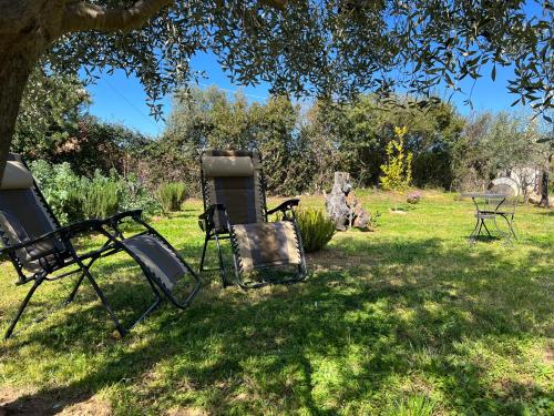a group of chairs sitting in the grass under a tree at RusticHome in Torpè