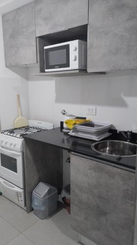 cocina con fregadero y microondas en Los Abuelos 23 en Rosario