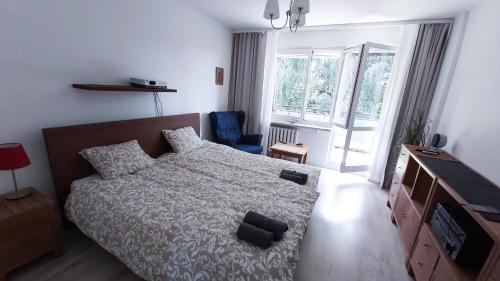 a bedroom with a bed and a chair and a window at Apartament Trzy Pokoje in Zamość