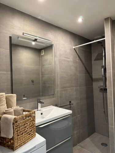 une salle de bain avec un lavabo et une douche avec un miroir dans l'établissement Spacieux studio à Golfe Juan 2 minutes des plages, à Vallauris