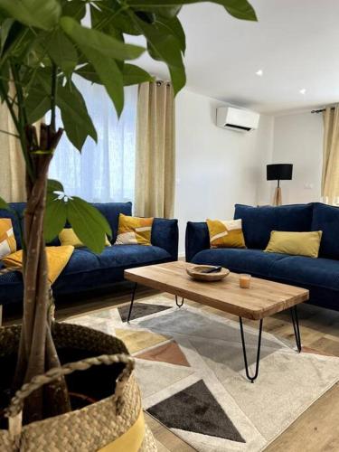 Alsace Colmar Appartement climatisée garage, parking et terrasse