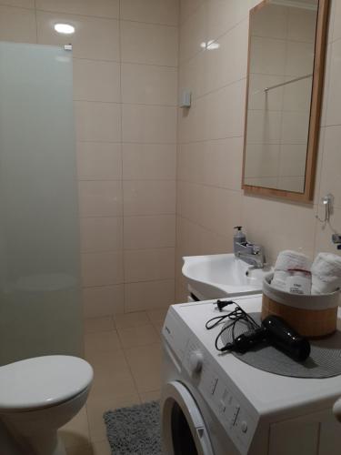 Koupelna v ubytování Apartman Milic Pirot-Zapadni Kej 10