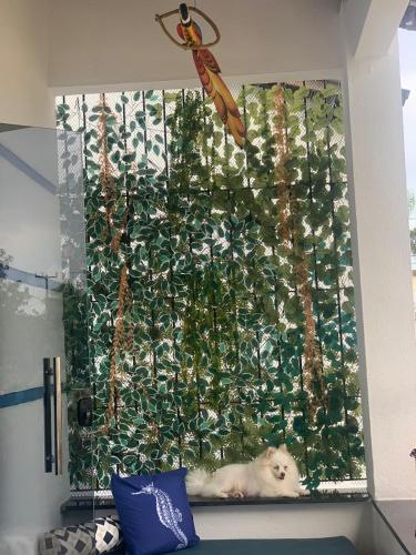 a white dog laying on a window sill at Privê estrela in Porto De Galinhas