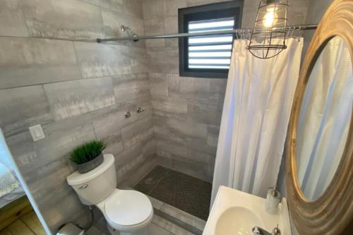 een badkamer met een toilet, een wastafel en een douche bij Villa Exclusiva para parejas en Puerto Rico in Villalba