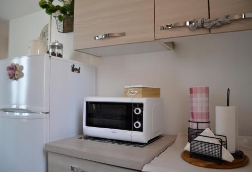 eine Mikrowelle auf einer Theke in einer Küche in der Unterkunft Appartamento Ciclamino in Mestre