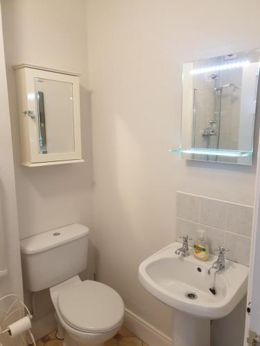 Baño blanco con aseo y lavamanos en Kilkenny City Apartment en Kilkenny