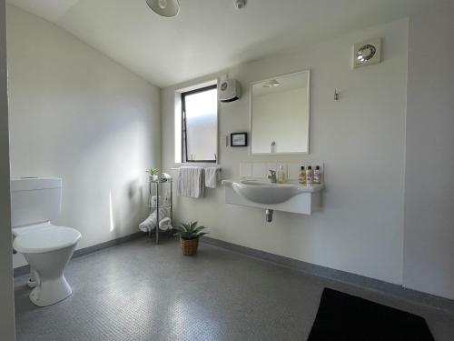 ein Badezimmer mit einem WC, einem Waschbecken und einem Spiegel in der Unterkunft Colonial Motel in Blenheim