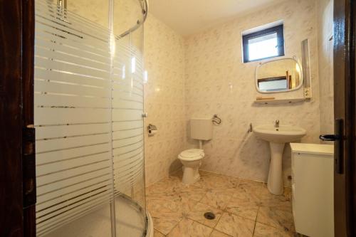 a bathroom with a shower and a toilet and a sink at Hanul din Padure in Daneş