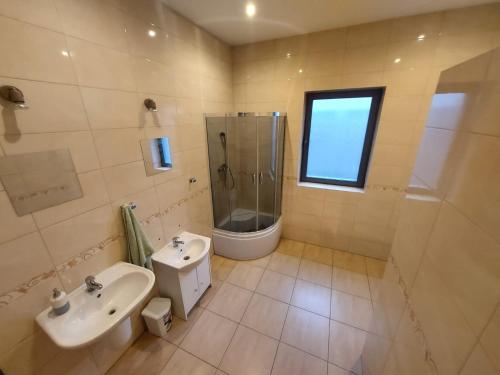 La salle de bains est pourvue d'un lavabo, d'une douche et de toilettes. dans l'établissement Galeria Kolorów - Apartament with a garden, à Łódź