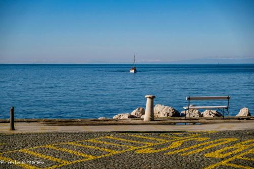 Apartma Dani Piran "Lets get wet together"