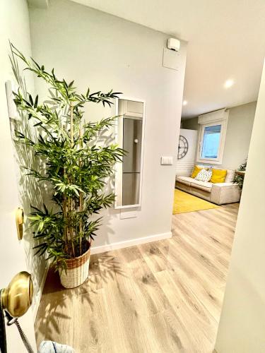 a living room with a potted plant on the floor at Loft centro Pontevedra in Pontevedra