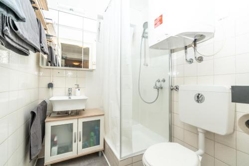 een badkamer met een douche, een toilet en een wastafel bij Apartment und WG-Doppelzimmer Sonnenhalde in Tübingen