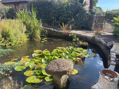 Un jardín fuera de RURAL stone barn with Log Burner, tranquil setting