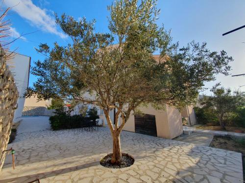 Gallery image of Olive garden Pag studio apartment in Pag