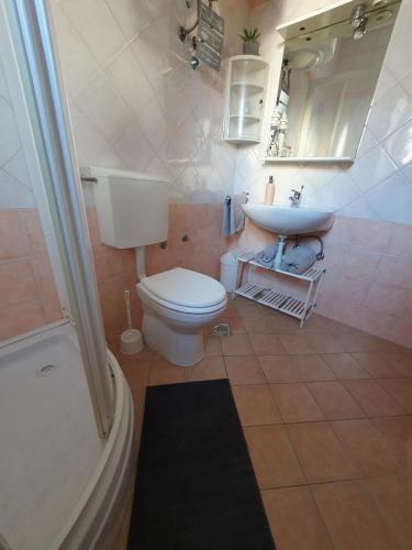 uma casa de banho com um WC, um lavatório e um chuveiro em Olive garden Pag studio apartment em Pag