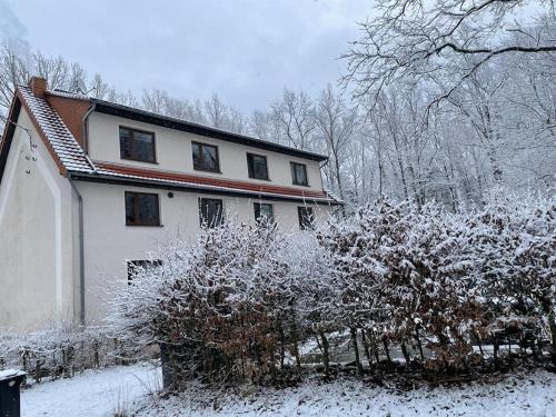 a house covered in snow with a fence and trees at Apartment am Hochwald in Reinhardtsdorf