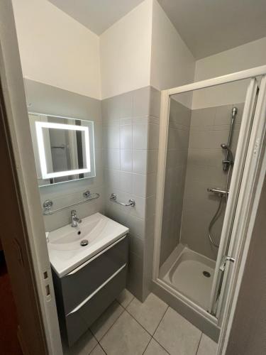 La salle de bains est pourvue d'un lavabo et d'une douche. dans l'établissement Chambres d'hôtes la Bégaudière, à Dol-de-Bretagne