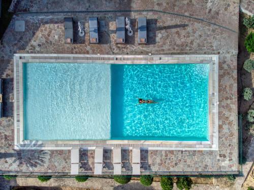 an overhead view of a person swimming in a pool at Terra Casa Private Villa in Aegina Island in Vathí