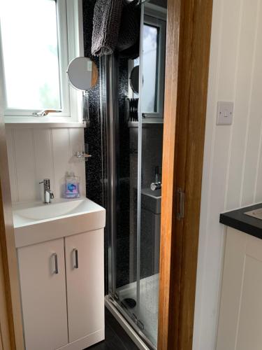 a bathroom with a shower with a sink and a mirror at Tides Reach, Deluxe Shepherds hut, 100m from the Beach in Saint Merryn