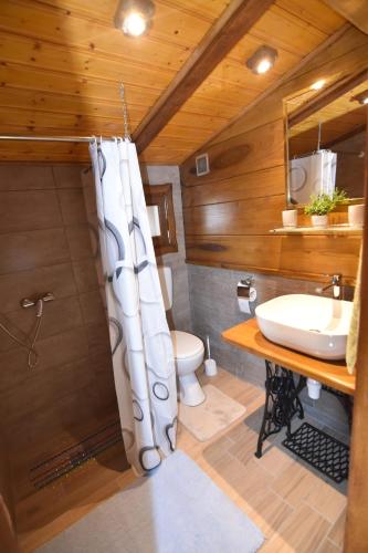 a bathroom with a sink and a toilet and a mirror at Kuća za odmor Kristina in Novigrad Podravski