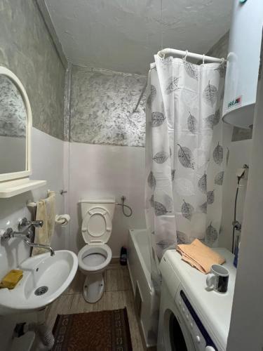 uma pequena casa de banho com lavatório e WC em Kuća za odmor em Nikšić