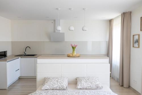 a kitchen with white cabinets and a counter with two pillows at Harmony in Jelgava
