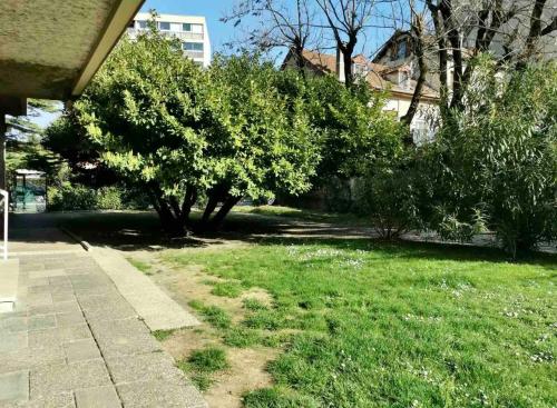 einen Hof mit Bäumen und Gras und ein Gebäude in der Unterkunft Le Perrot - Chavant / Centre-ville in Grenoble