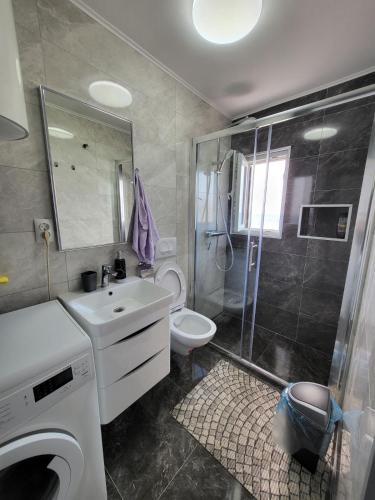 a bathroom with a shower and a toilet and a sink at Apartman Dora with sea view and terrace in Umag