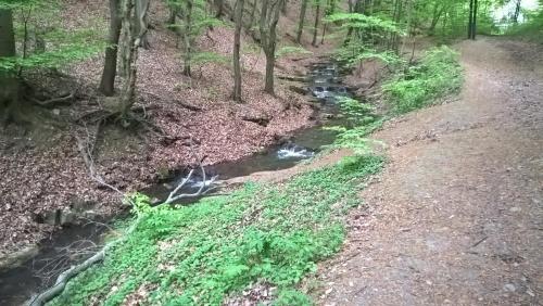 Un paisaje natural cerca del departamento