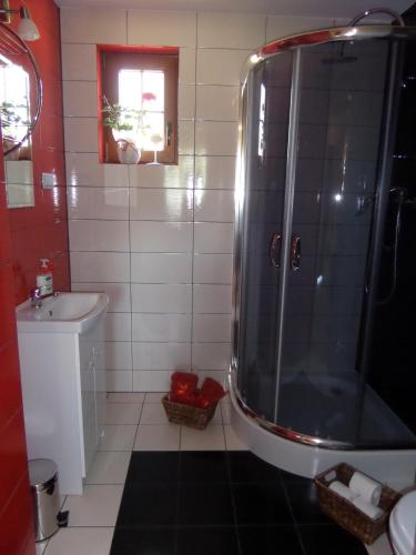 a bathroom with a shower and a sink at Dom drewniany na Kaszubach, rzeka, las, pola, niedaleko jeziora in Nowa Kiszewa