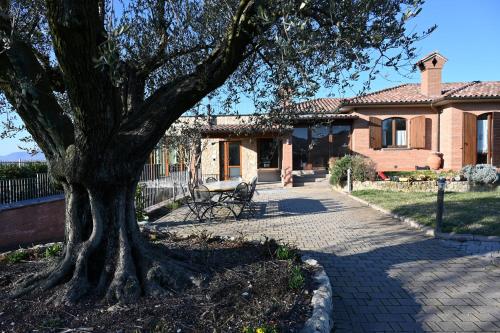 a tree sitting on a sidewalk next to a house at Agriturismo A Casa Mia Gubbio in Gubbio